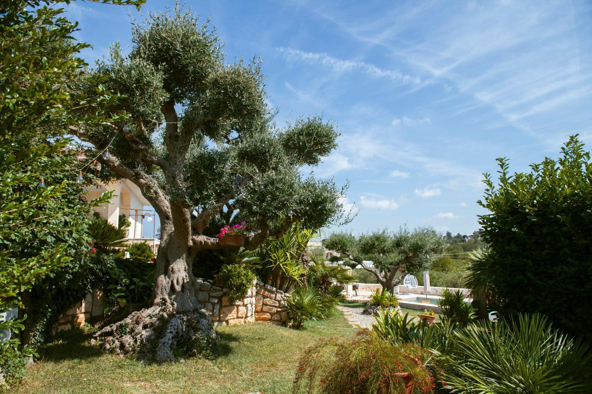 Holiday Home Cosimo Locorotondo Εξωτερικό φωτογραφία